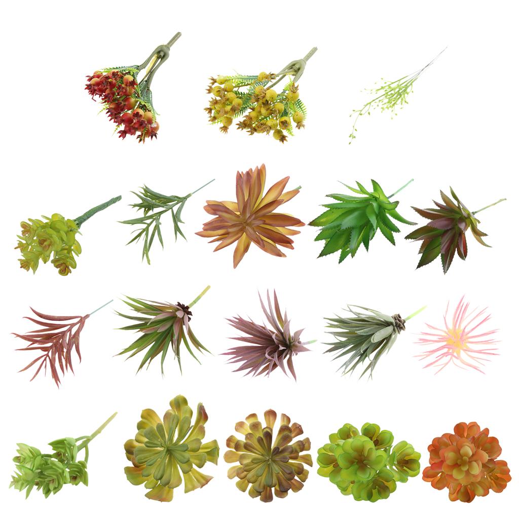 نباتات عصارية اصطناعية من البل - مراجعة Echeveria Succulent وسعره