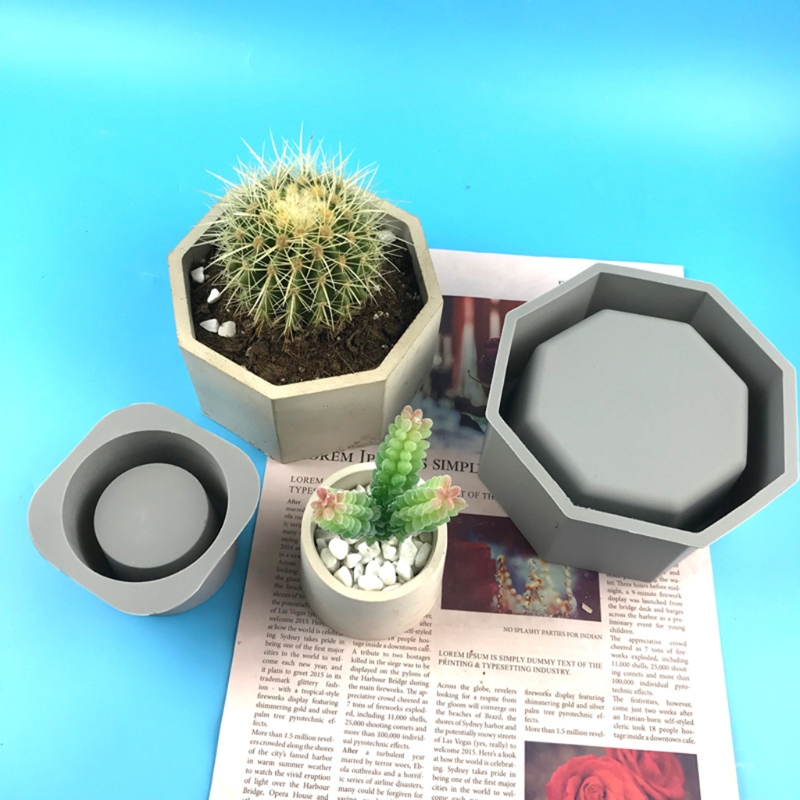 أصيص زارع عصاري يدوي الصنع ، ق - مراجعة Echeveria Succulent وسعره