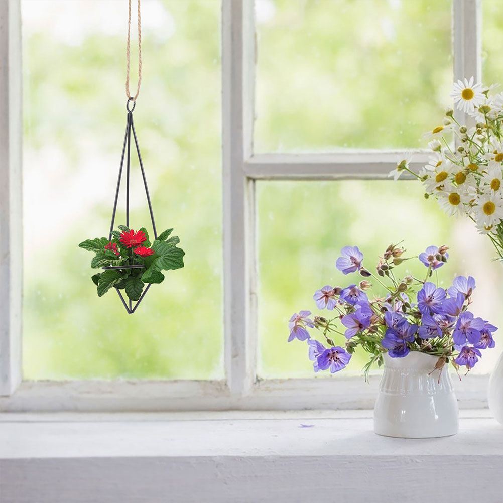 قطعتان من حامل النباتات الهوائ - مراجعة Spider Plant Hanging وسعره