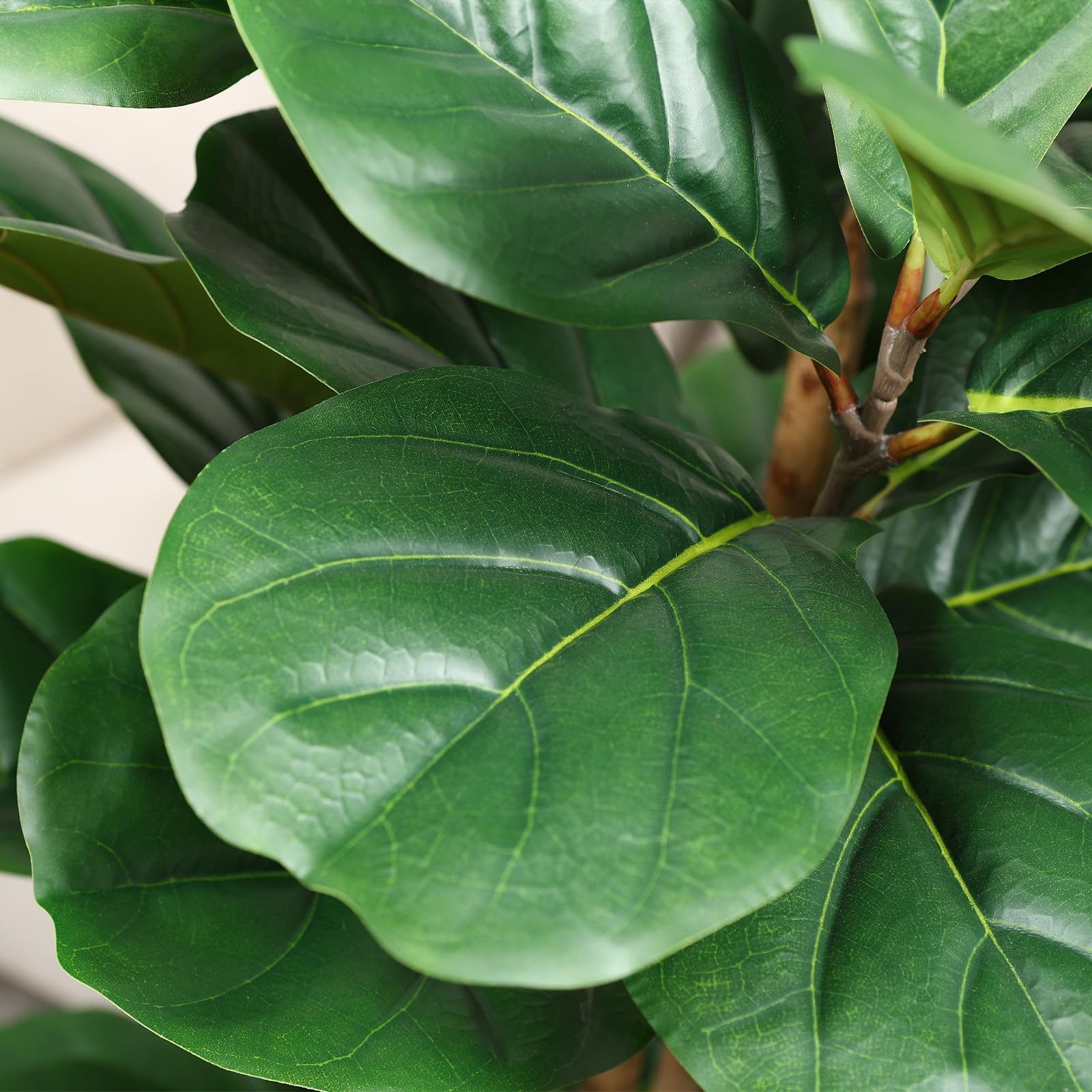 شجرة تين فايلد اصطناعية مع وعا - مراجعة Ficus Lyrata Tree وسعره