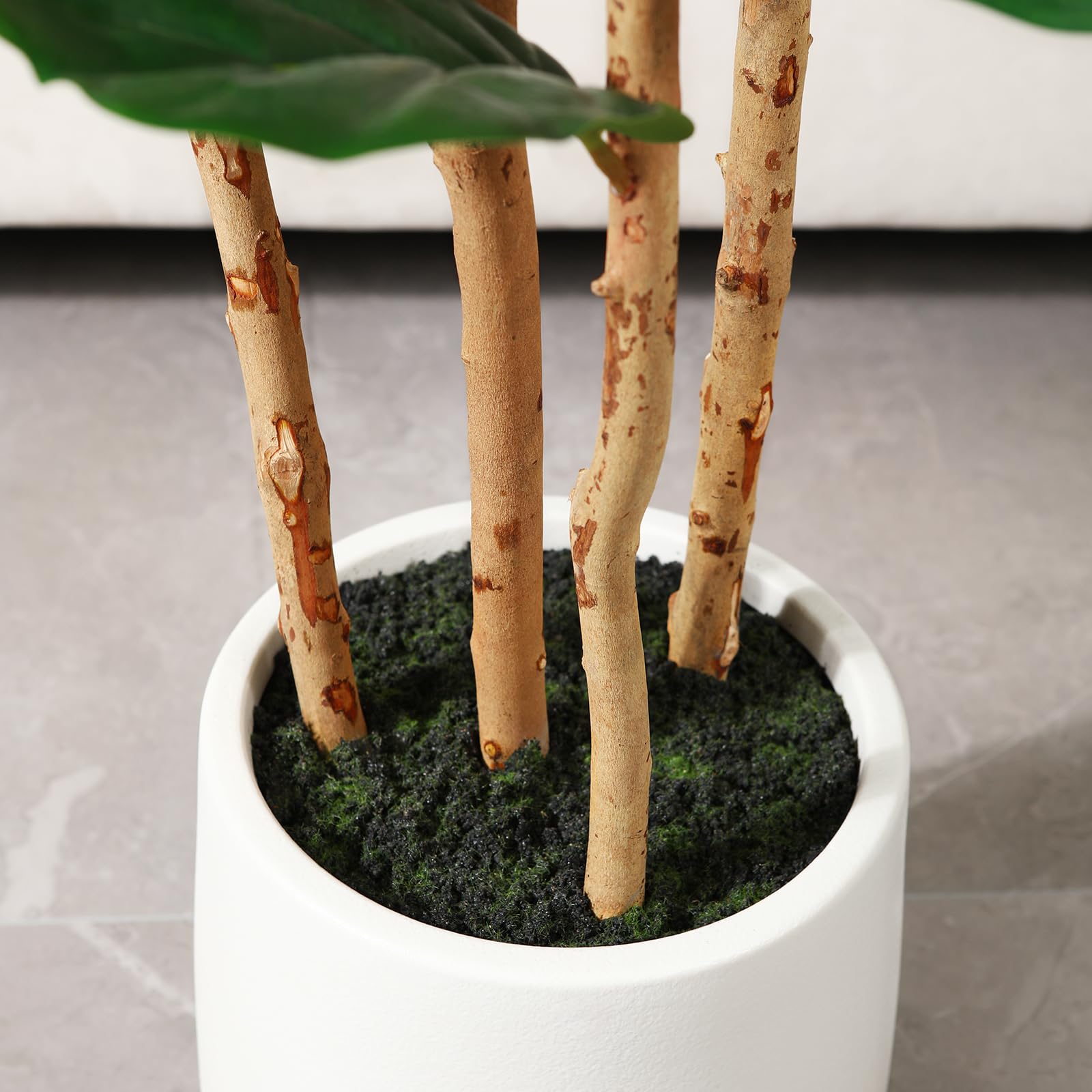 شجرة تين فايلد اصطناعية مع وعا - مراجعة Ficus Lyrata Tree وسعره