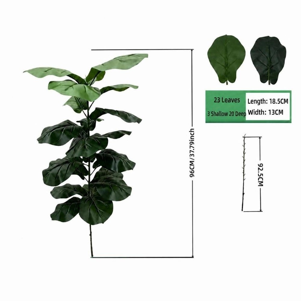 15/9/23 أوراق نبات التين الاصط - مراجعة Ficus Lyrata Tree وسعره